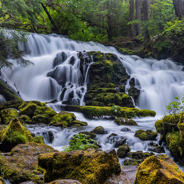 Pearsony Falls, Mill Creek, Prospect, Oregon