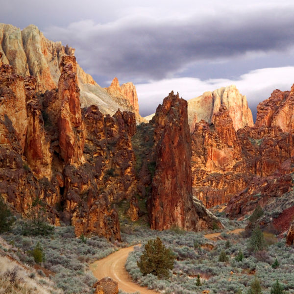 Red-rock spires and honeycombed cliffs throughout Leslie Gulch. The area offers some of the best hiking in Owyhee Canyonlands and is easily accessed.