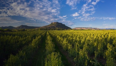 A view from a field of Table Rock in Oregon