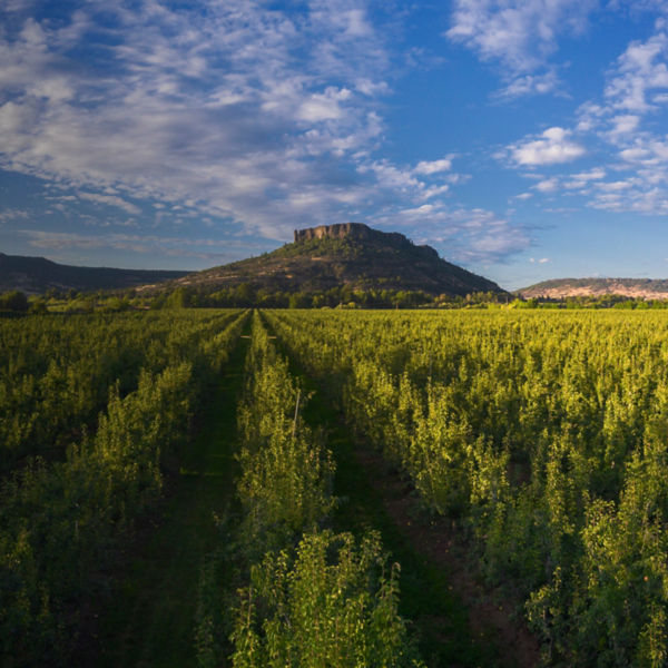 A view from a field of Table Rock in Oregon