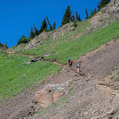 Hikers on Mount Ellinor Trail, Olympic National Park, Washington State