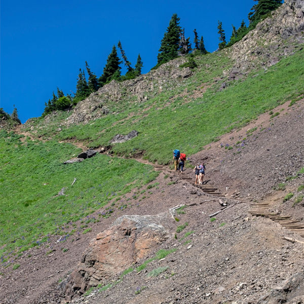 Hikers on Mount Ellinor Trail, Olympic National Park, Washington State