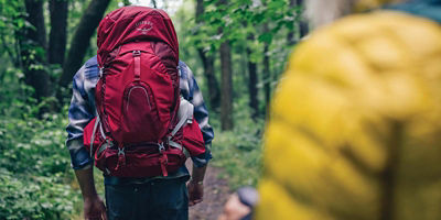 Two hikers in the forest with packs on