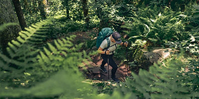 Hiker on a fern-filled trail with trekking poles and a Public Lands hat