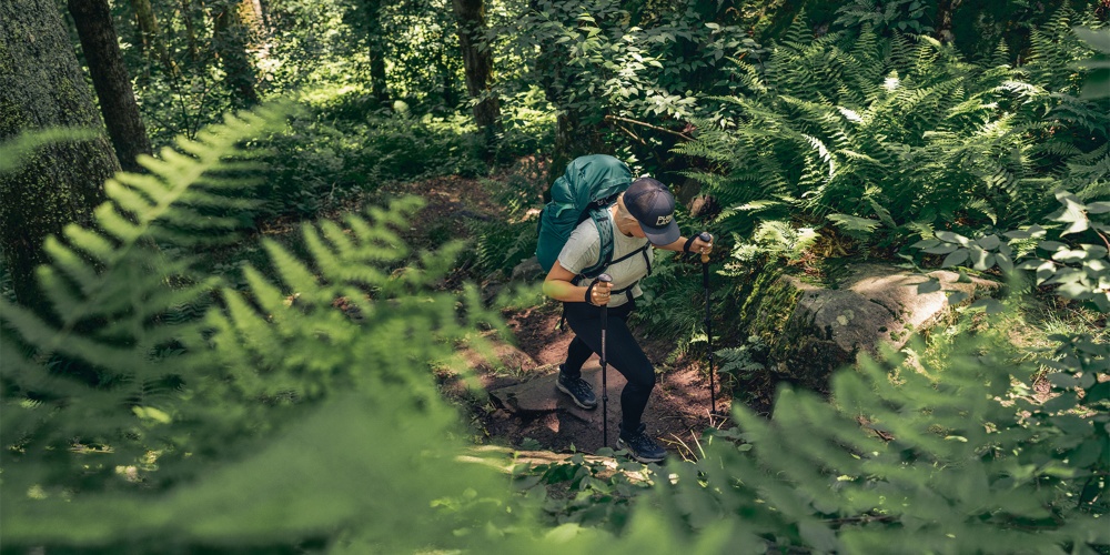 The Essentials: 5 Must Haves For Your Next Epic Hike — Crown Shaving Co