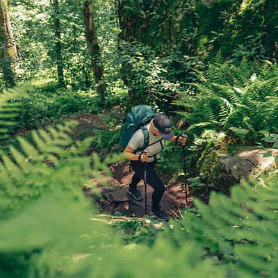 A man hiking through a dense forrest, surrounded by ferns.