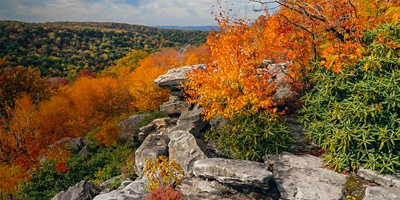  Wolf Rocks Overlook in the fall