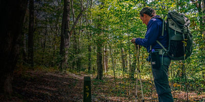 A person looks onto the Laurel Highlands Hiking Trail