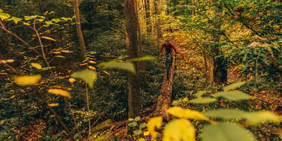 A man mountain biking over a log in Quebec Run in the fall