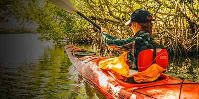 A woman navagating a mangrove in a sea kayak
