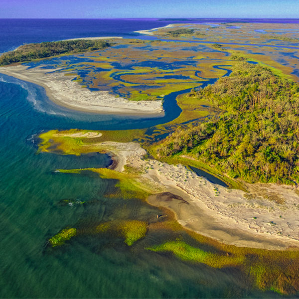 Little Tybee Island 