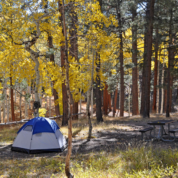 A tent sits in a campsite at the North Rim Campground in Grand Canyon National Park