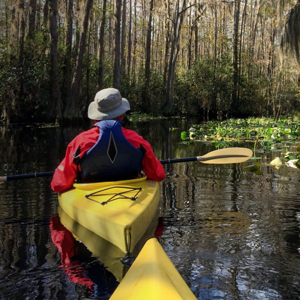 A couple in kayaks paddling through the great blackwater swamp at Okefenokee national wildlife refuge near Folson, Georgia USA.