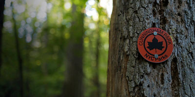 Trail Marker at Cunningham Park, Queens, New York City, USA.