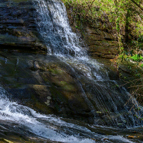 The Upper Fall Branch Falls On The Benton Mackaye Trail