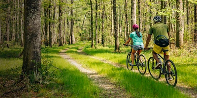 A man and woman bike on a wooded trail