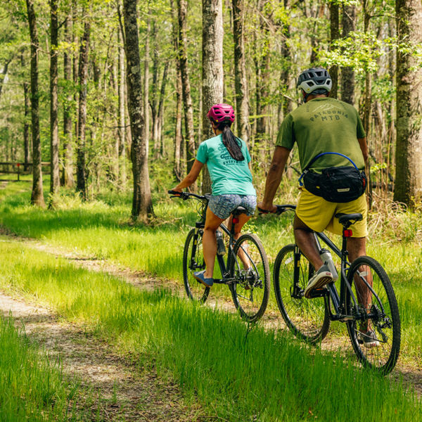 A man and woman bike on a wooded trail