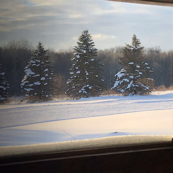 A window looking out at cross country trails from The Wilderness Lodge