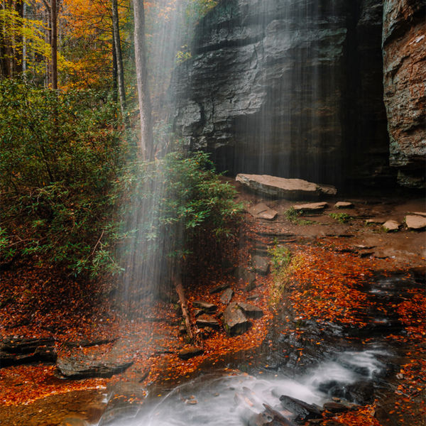 A waterfall known as Moore Cove Falls surrounded by colorful fall foliage in Pisgah National Forest, North Carolina.