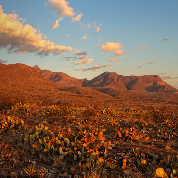 Desert Mountains at Sunris in the Castner Range, Texas