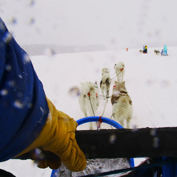 Dogsledding in northern Minnesota near the BWCA