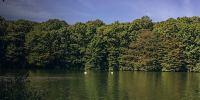 A view from Blydenburgh state park lake 