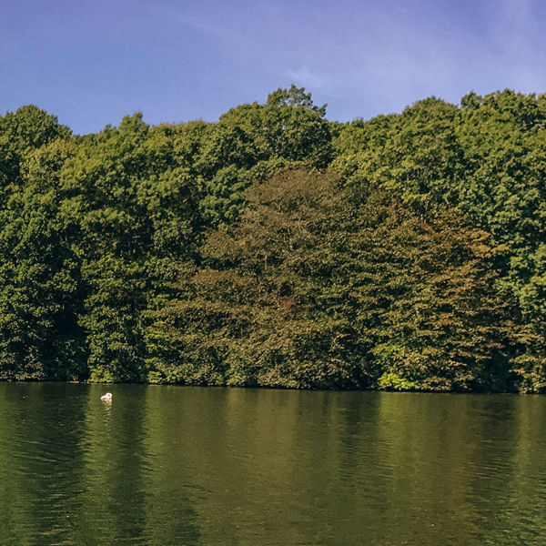 A view from Blydenburgh state park lake 