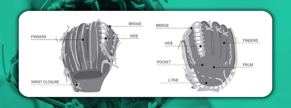 Padded Catchers Glove – Prostock Athletic Supply Ltd