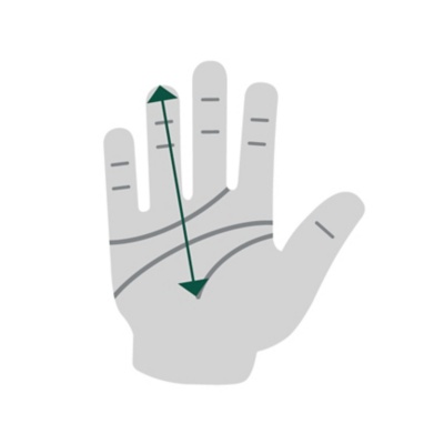 graphic illustration of hand