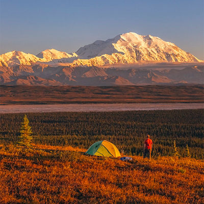 A person jogging in Central Park New York