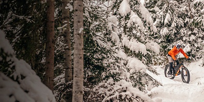 A person bikes through the forest in the winter