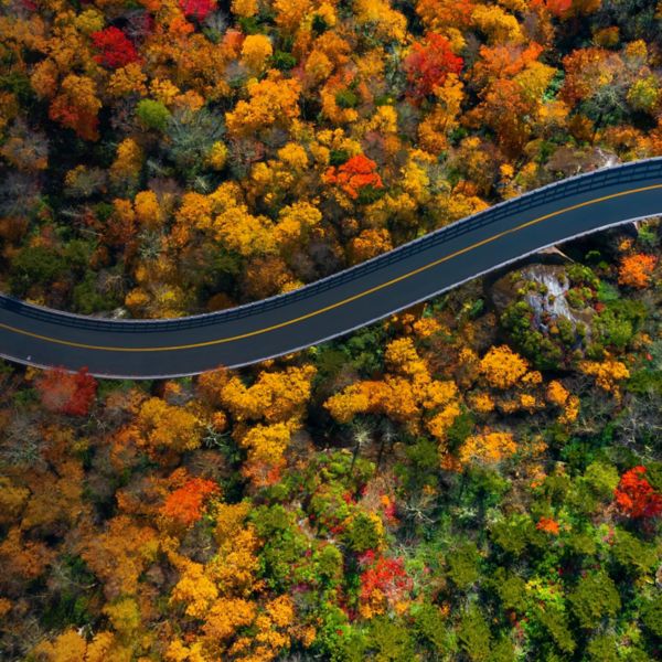 Blue Ridge Parkway in North Carolina in Fall colors. Looking straight down at the road.