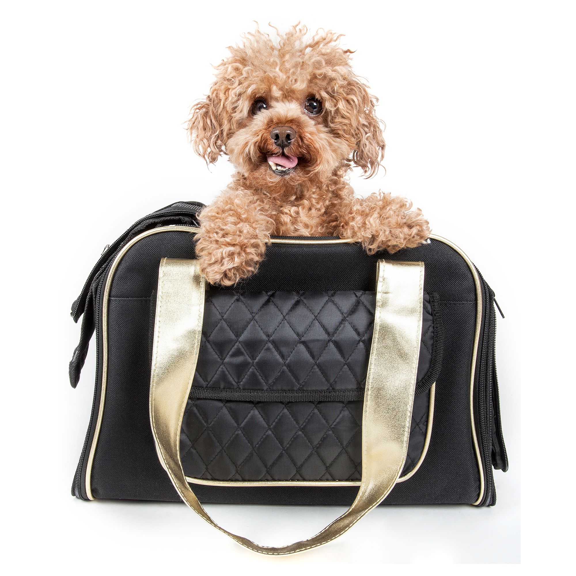 Pet Life Mystique Carrier for Dogs and Cats, 44% Off