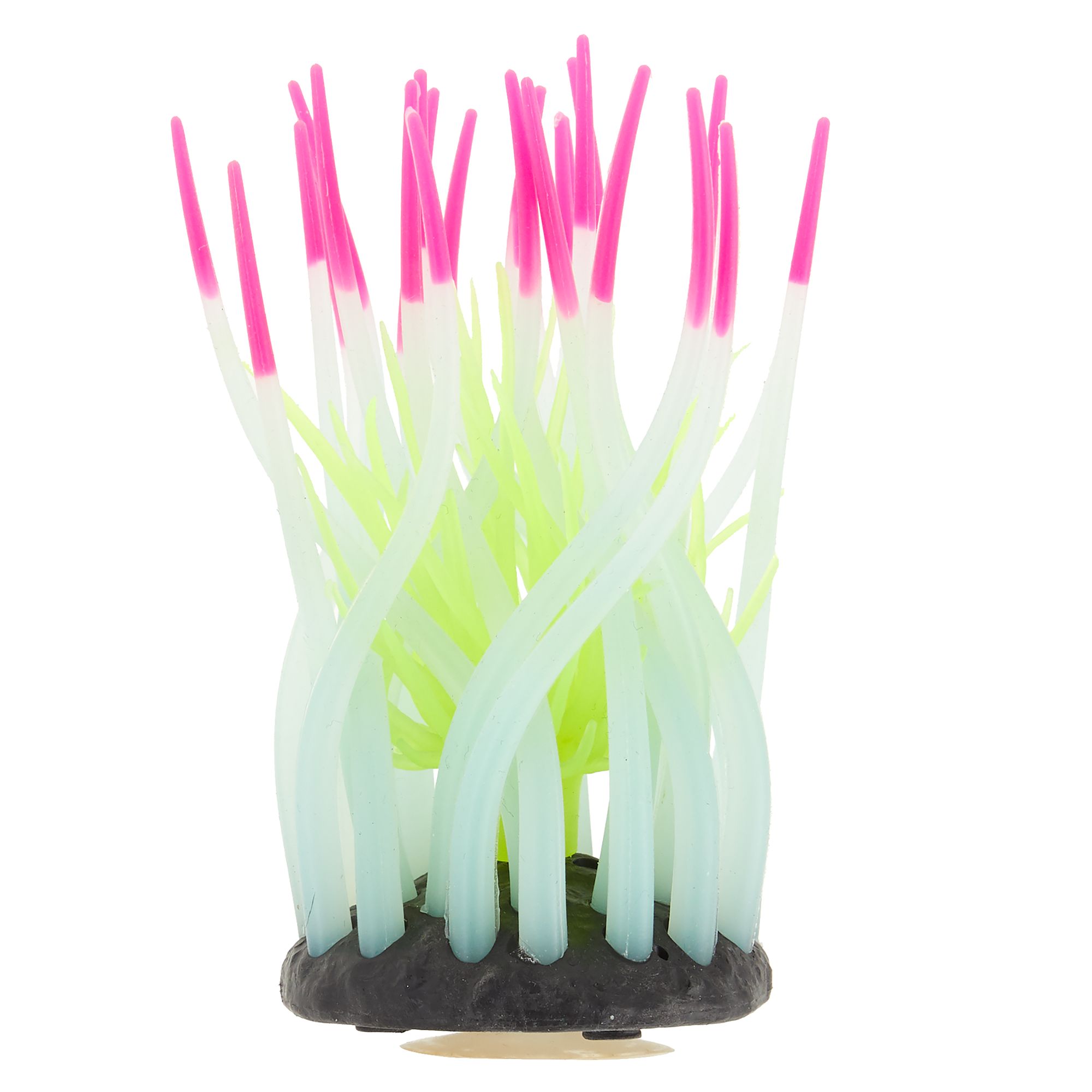 Top Fin Glow-in-the-Dark Anemone Aquarium Ornament - Fish Tank Decor in Pink & Yellow | PetSmart