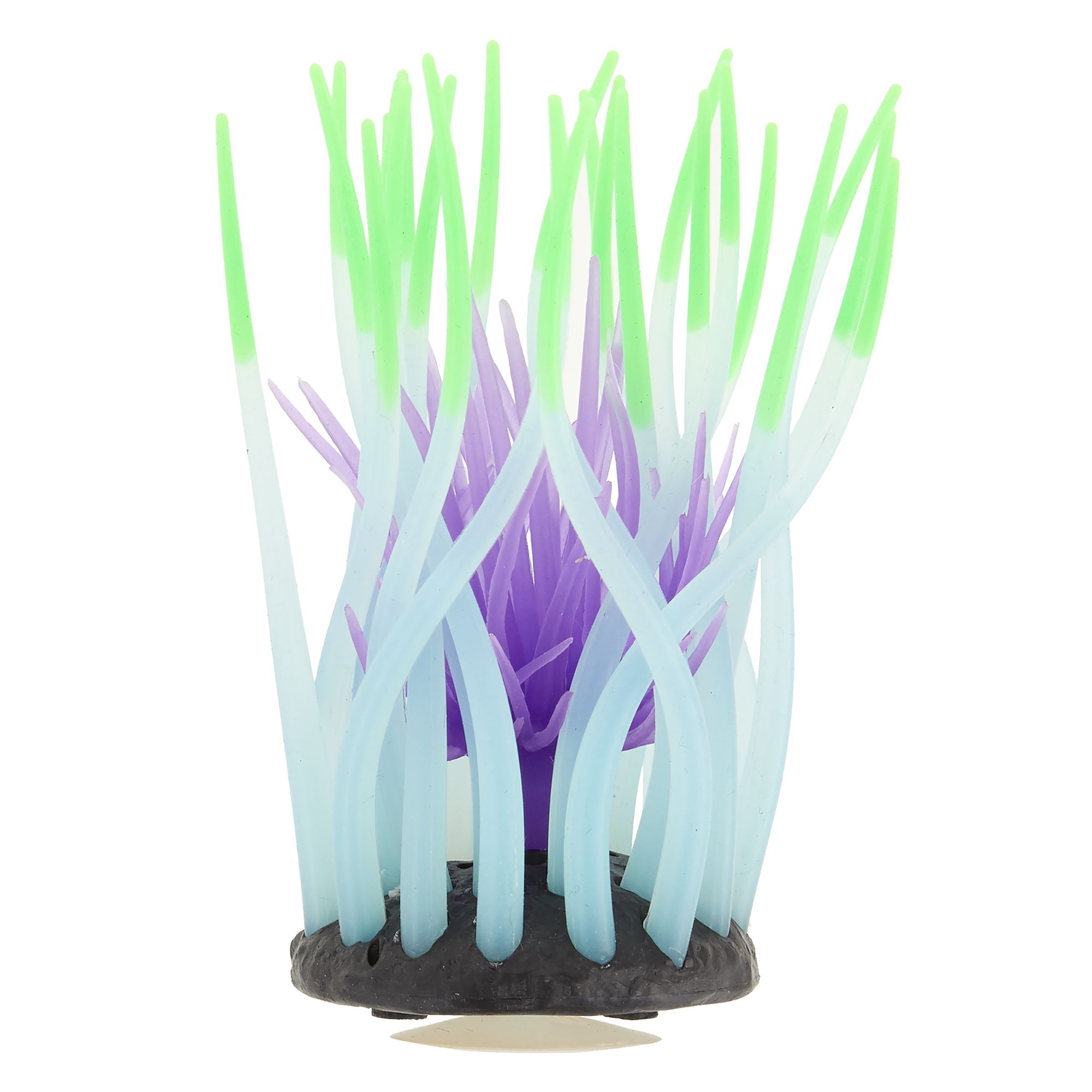 Top Fin Glow-in-the-Dark Anemone Aquarium Ornament - Fish Tank Decor in Purple & Green | PetSmart