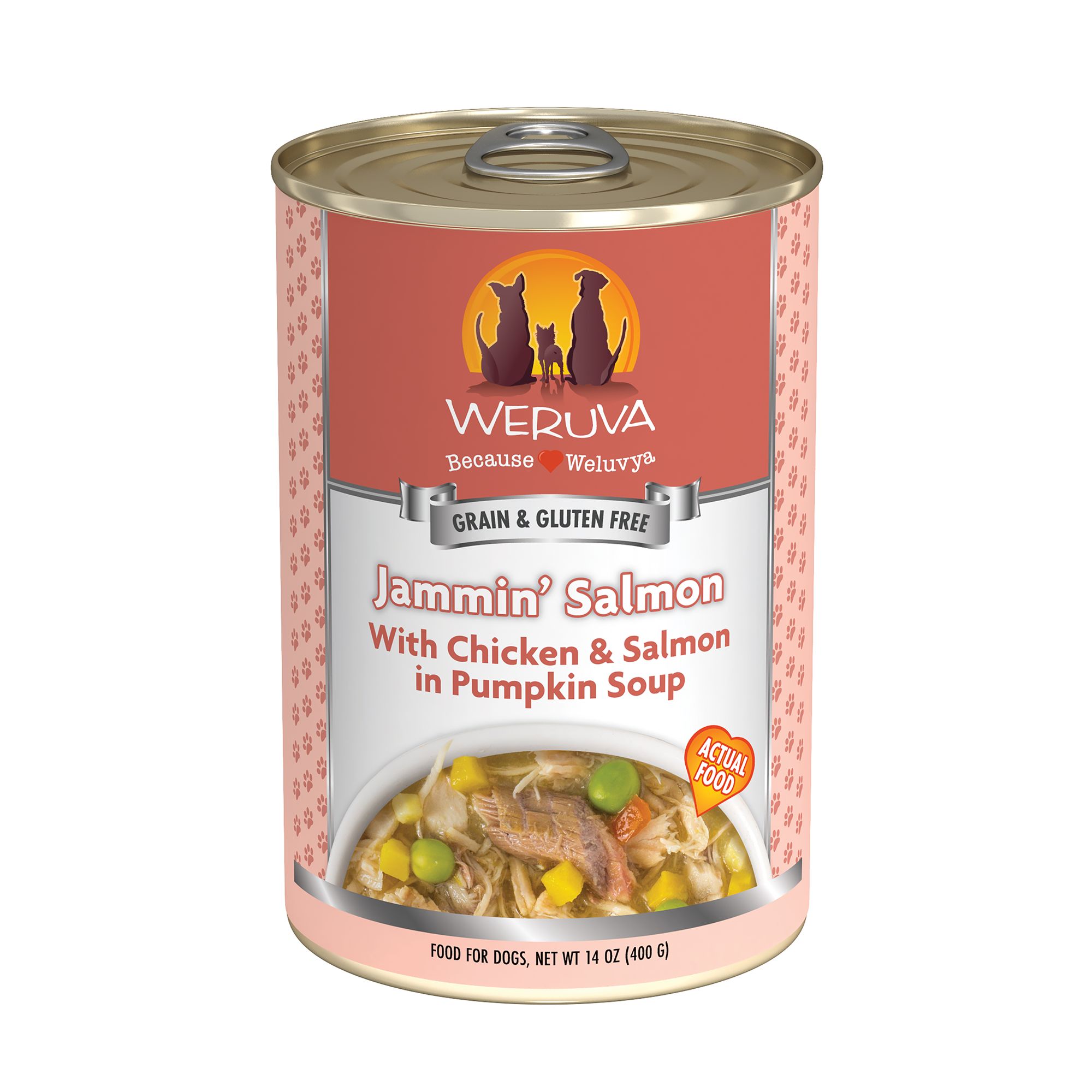 Weruva Dog Classic Adult Wet Dog Food - Grain Free, Shreds in Pumpkin Soup, 14 oz | PetSmart