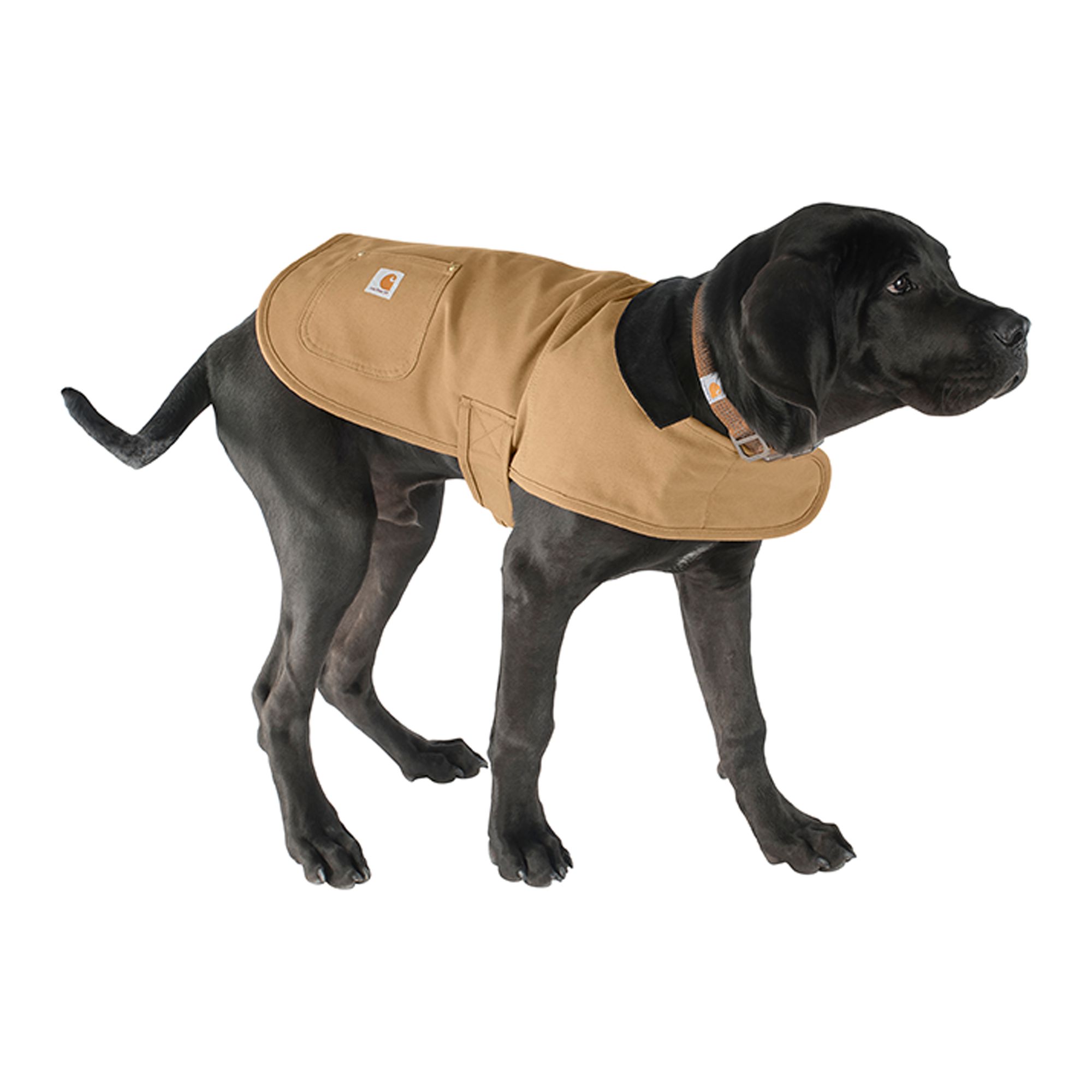 Carhartt Dog Chore Coat, Firm Duck Insulated, Durable Weather Resistant Jacket Color and Size Varies in Brown, size: Large | PetSmart