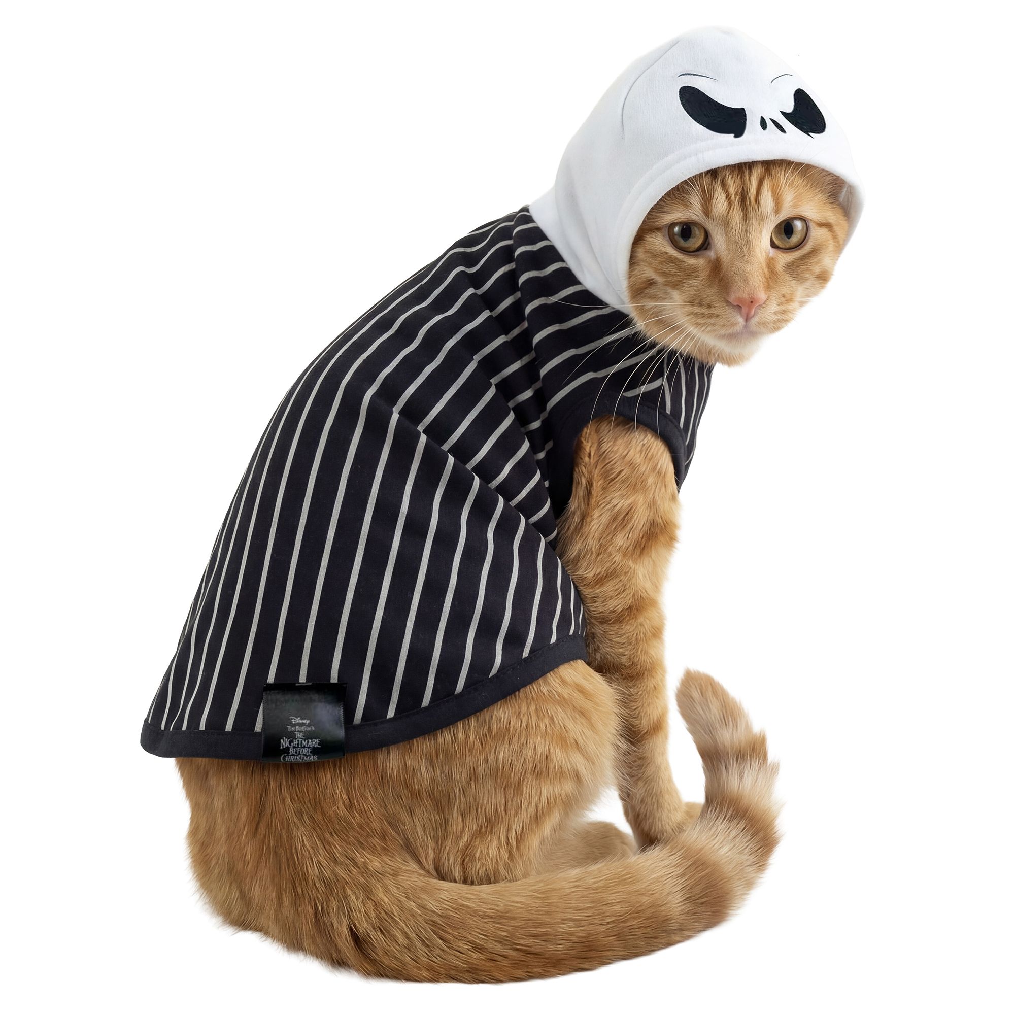 Licensed Brand Disney Tim Burton's The Nightmare Before Christmas Jack Skellington Costume Hoodie for Cats, size: Small/Medium | PetSmart