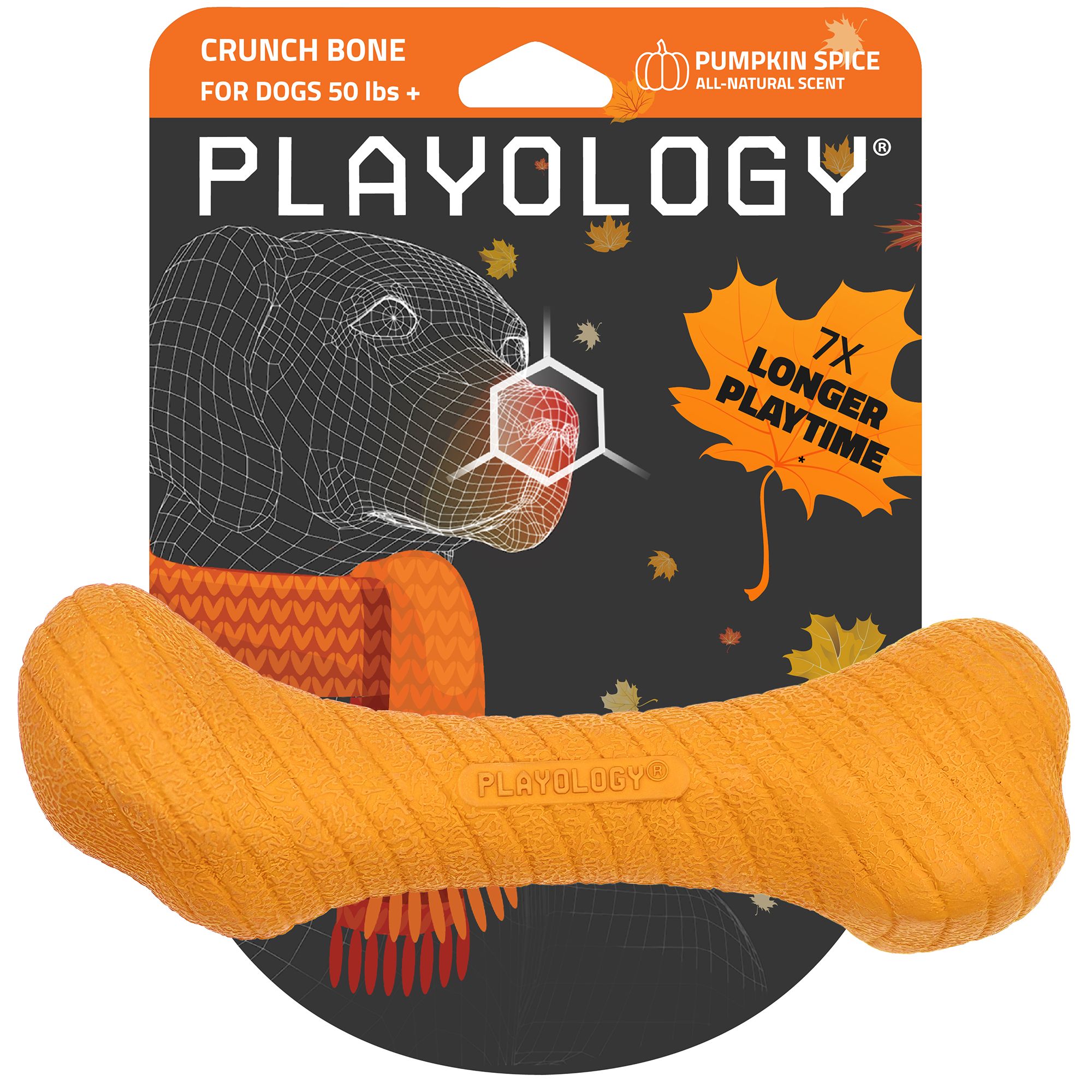 Playology Pumpkin Spice Scented Crunchy Femur Bone Jumbo Dog Toy, Large | PetSmart