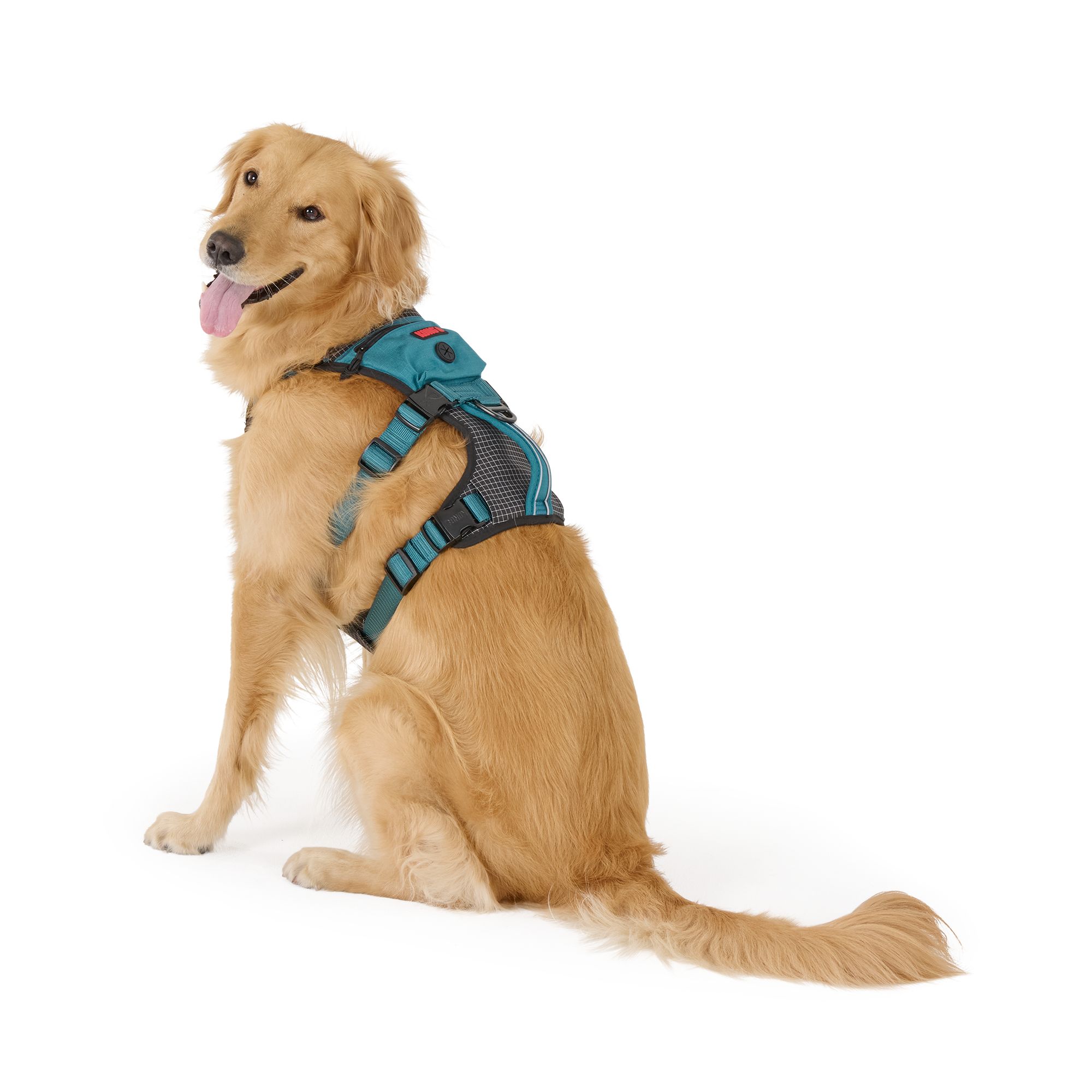 Kong Safety Adjustable Dog Harness, Color and Size Vary in Teal, size: Large | PetSmart