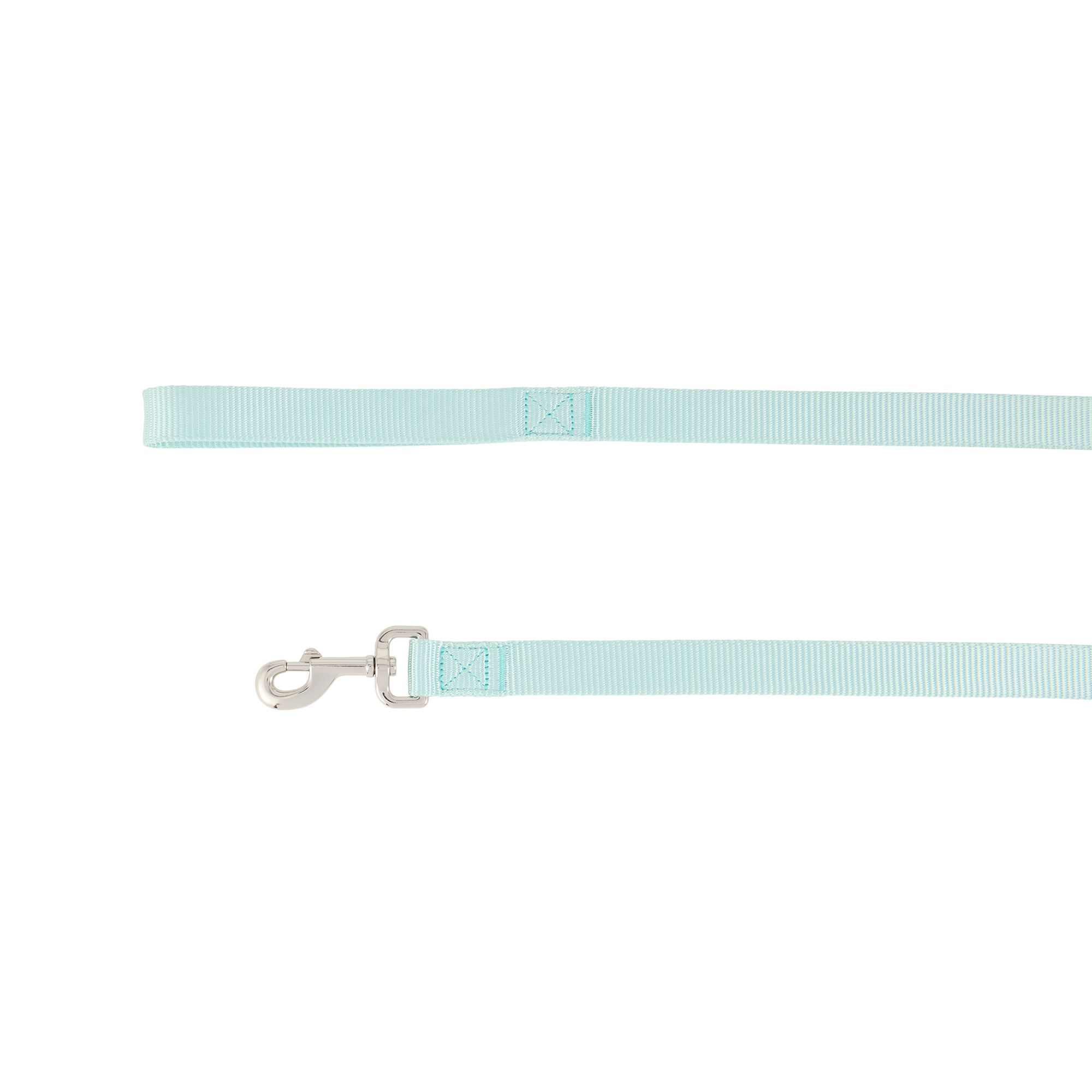 Top Paw Standard Dog Leash, Walking Dog Leash, Multiple Sizes, 6' Long in Mint, size: 1 in | PetSmart