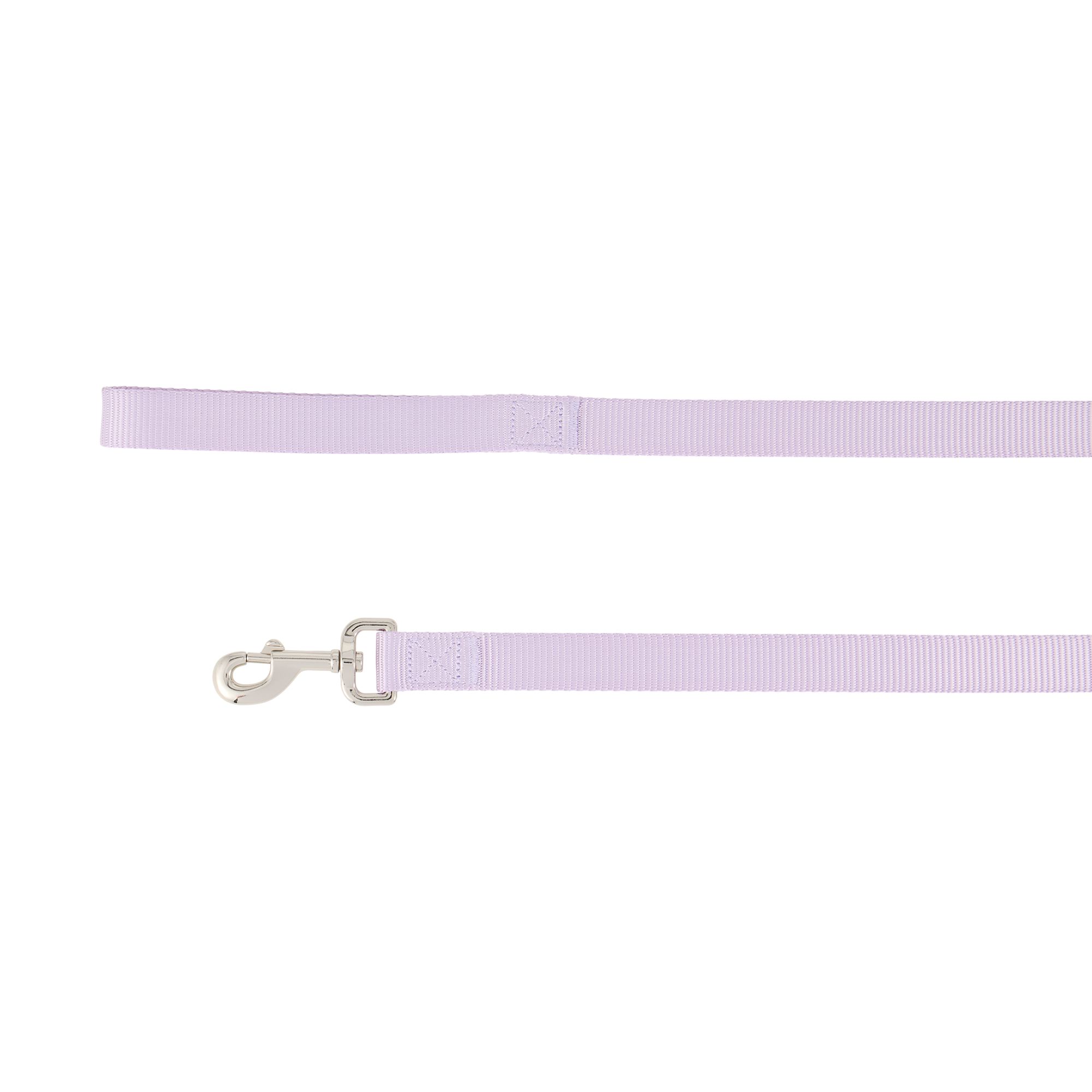 Top Paw Standard Dog Leash, Walking Dog Leash, Multiple Sizes, 6' Long in Lavender, size: 1 in | PetSmart