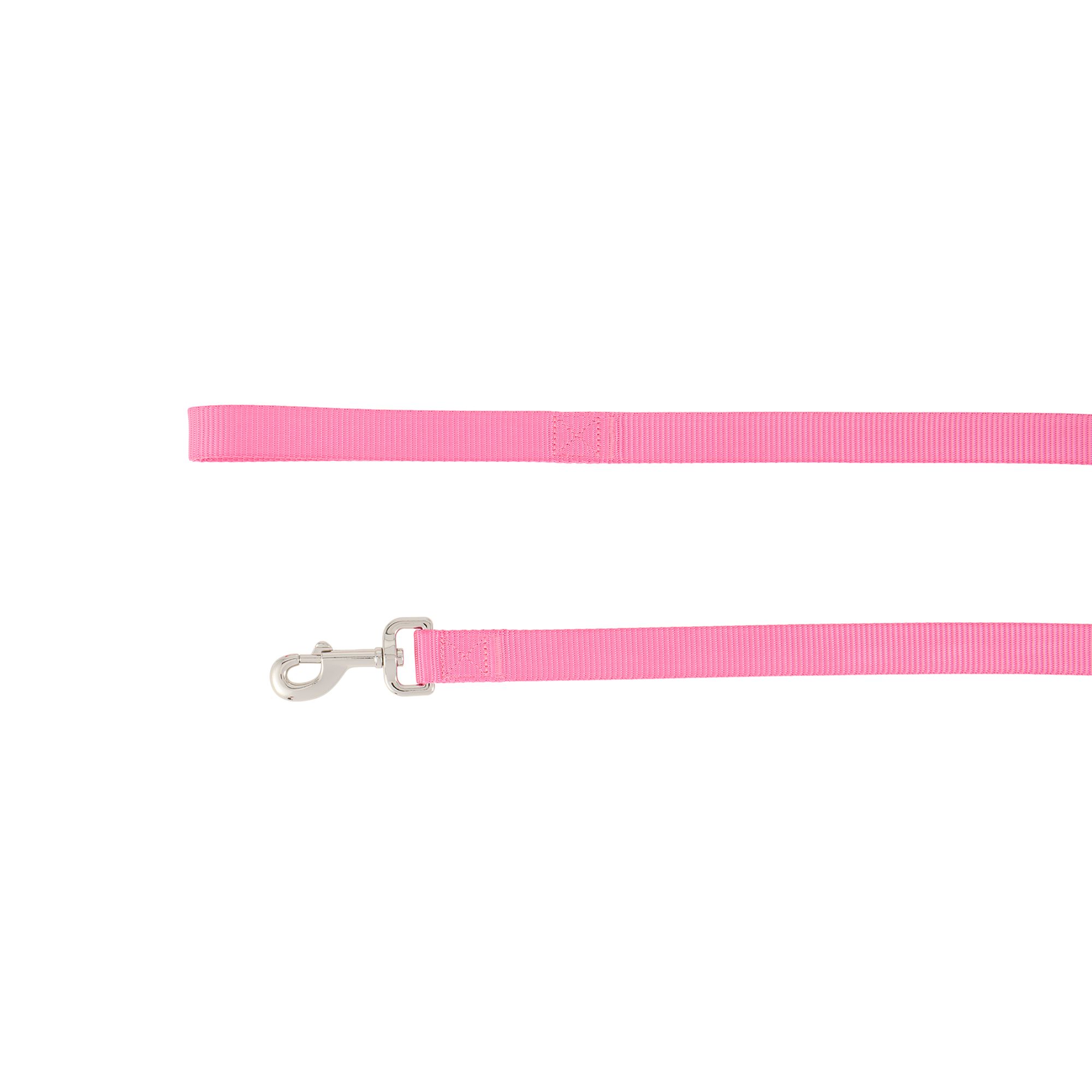 Top Paw Standard Dog Leash, Walking Dog Leash, Multiple Sizes, 6' Long in Raspberry, size: 1 in | PetSmart