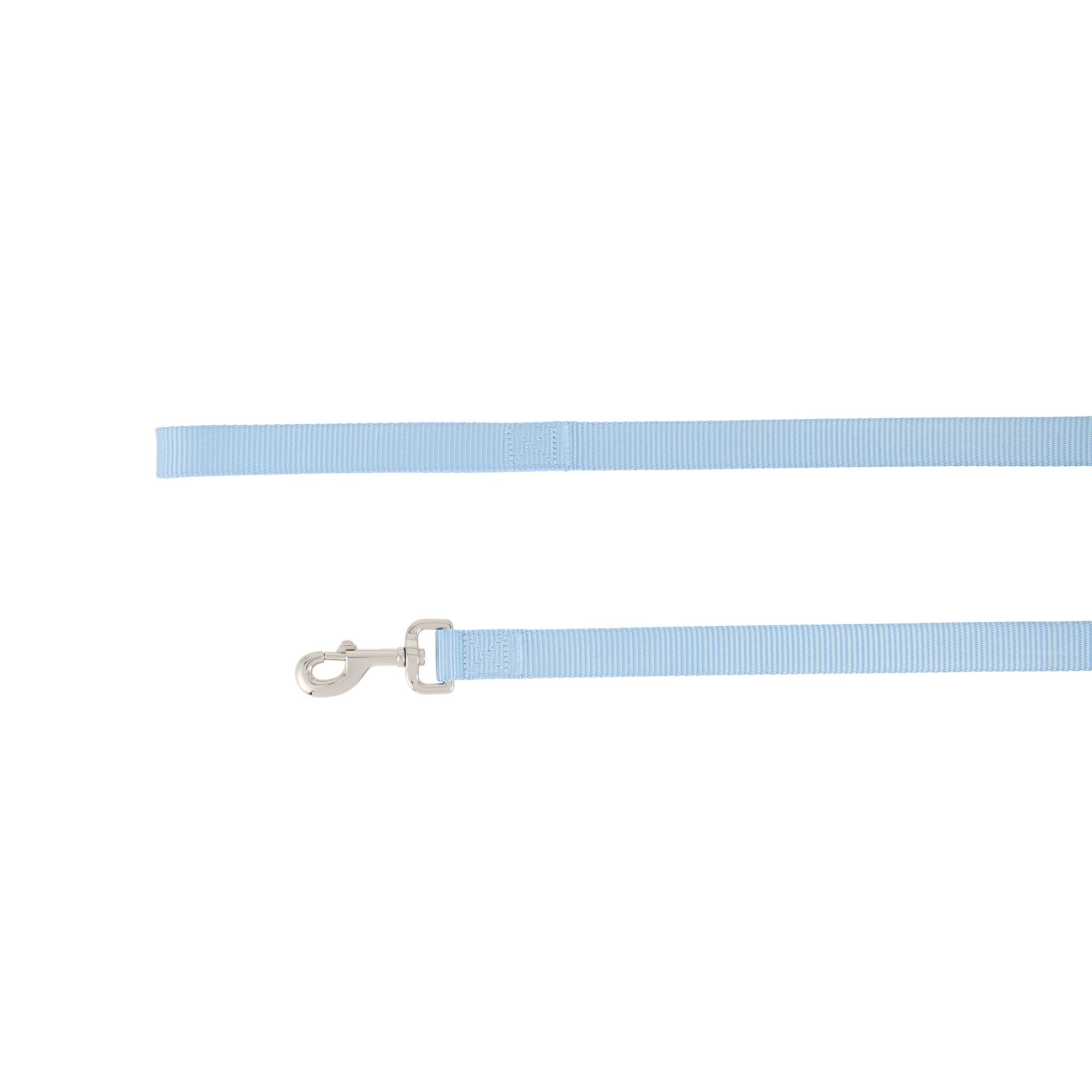 Top Paw Standard Dog Leash, Walking Dog Leash, Multiple Sizes, 6' Long in Light Blue, size: 1 in | PetSmart