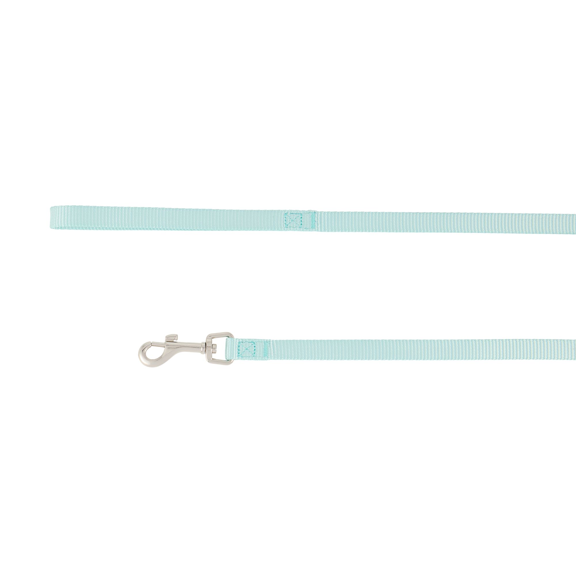 Top Paw Standard Dog Leash, Walking Dog Leash, Multiple Sizes, 6' Long in Mint, size: 5/8 in | PetSmart