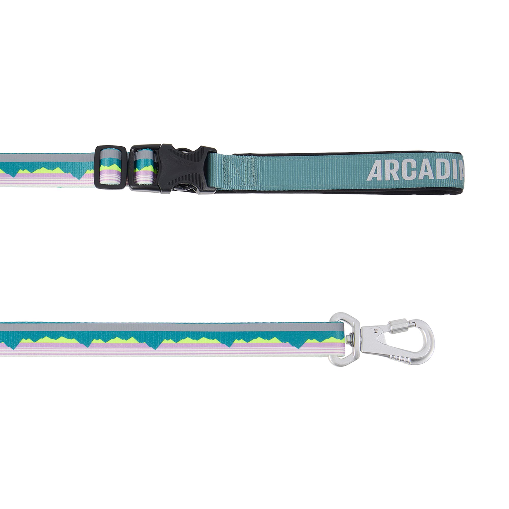 Arcadia Trail Lightweight Dog Leash Reflective Elements for Nighttime Visibility in Sage | PetSmart