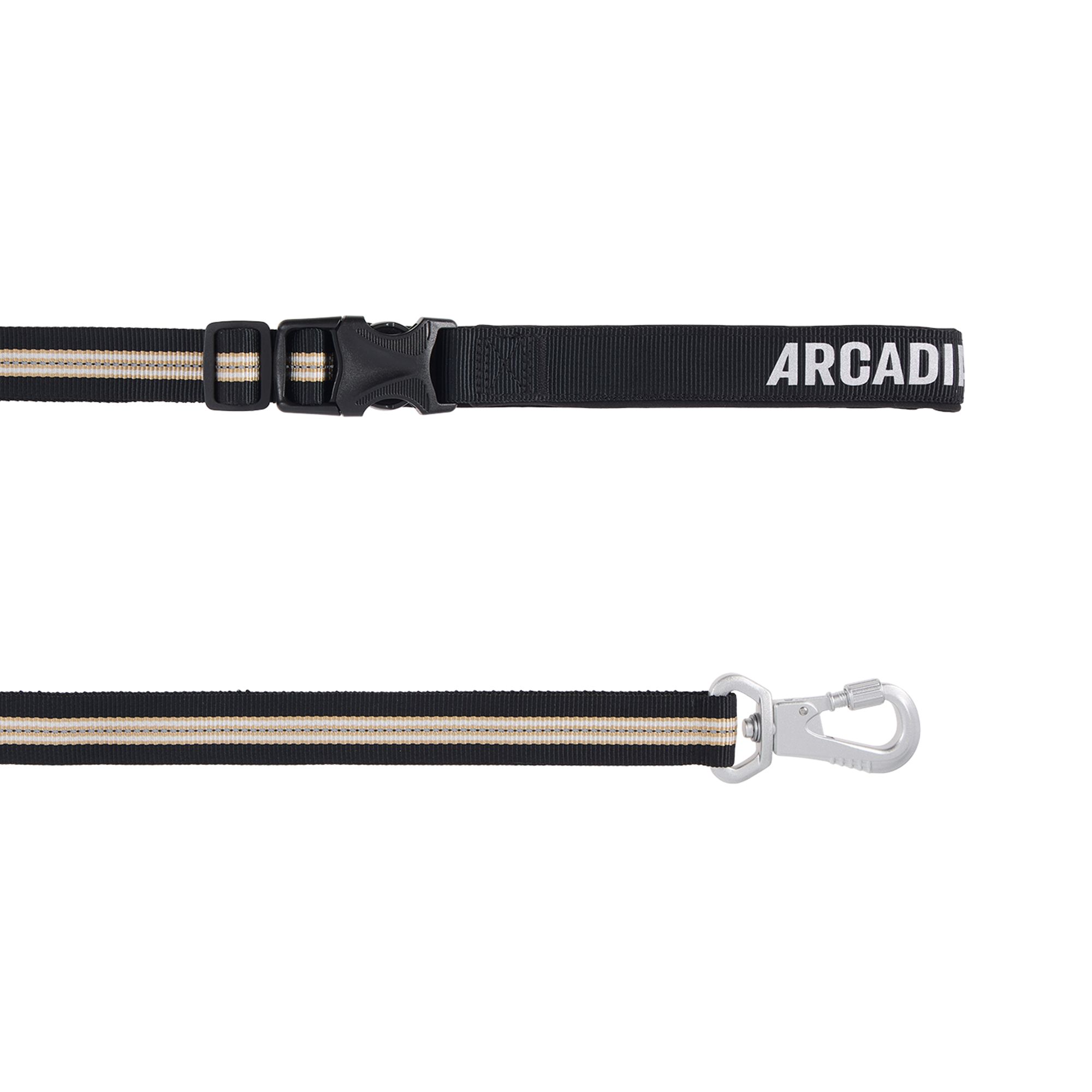 Arcadia Trail Lightweight Stripe Dog Leash Reflective Elements for Nighttime Visibility in Black | PetSmart