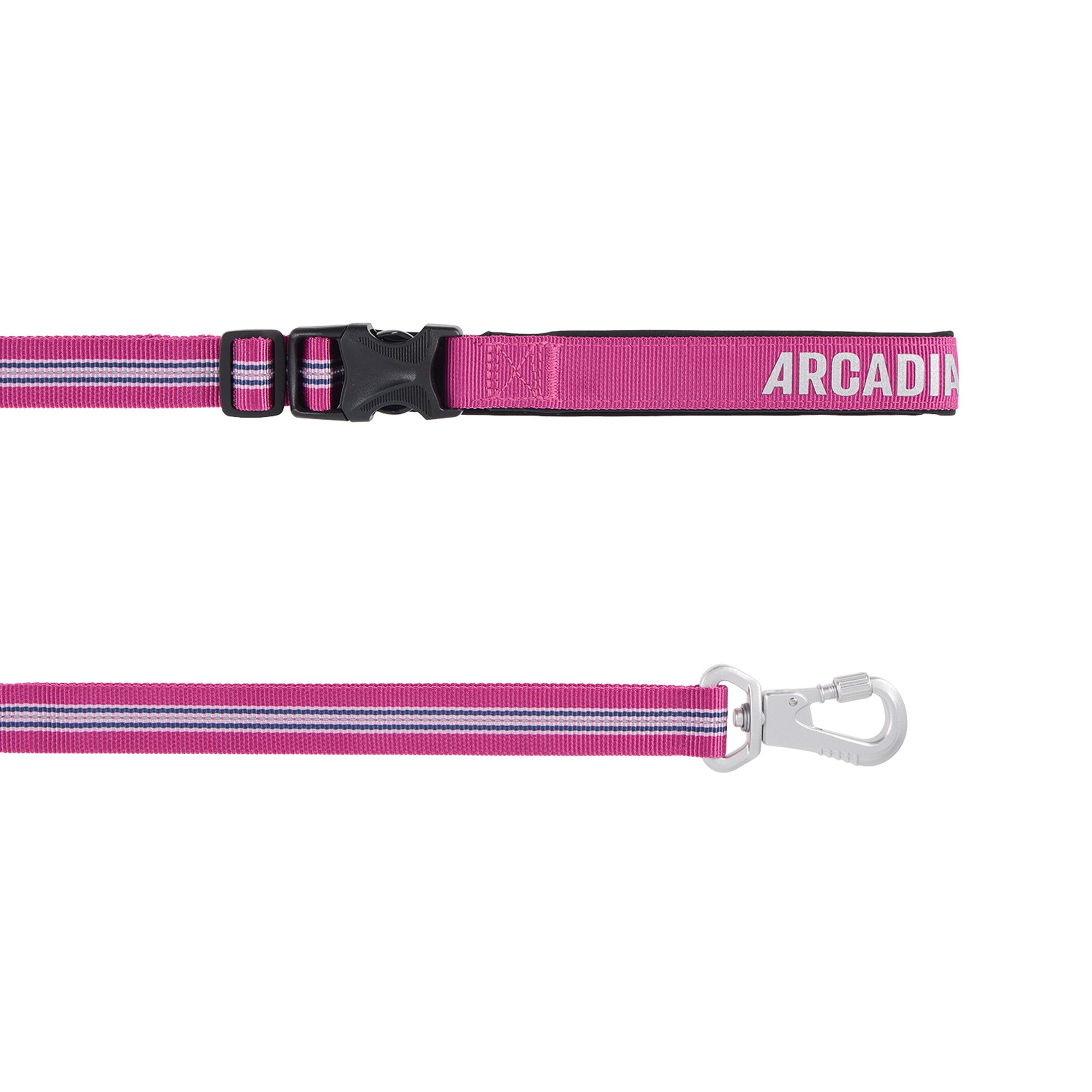 Arcadia Trail Lightweight Stripe Dog Leash Reflective Elements for Nighttime Visibility in Berry | PetSmart