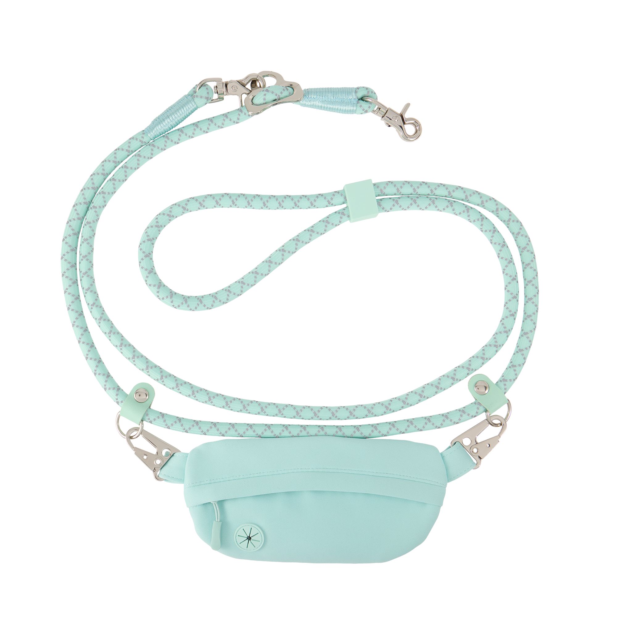 Top Paw Multi-Wear Dog Leash with Pouch, Walking Dog Leash in Aqua | PetSmart