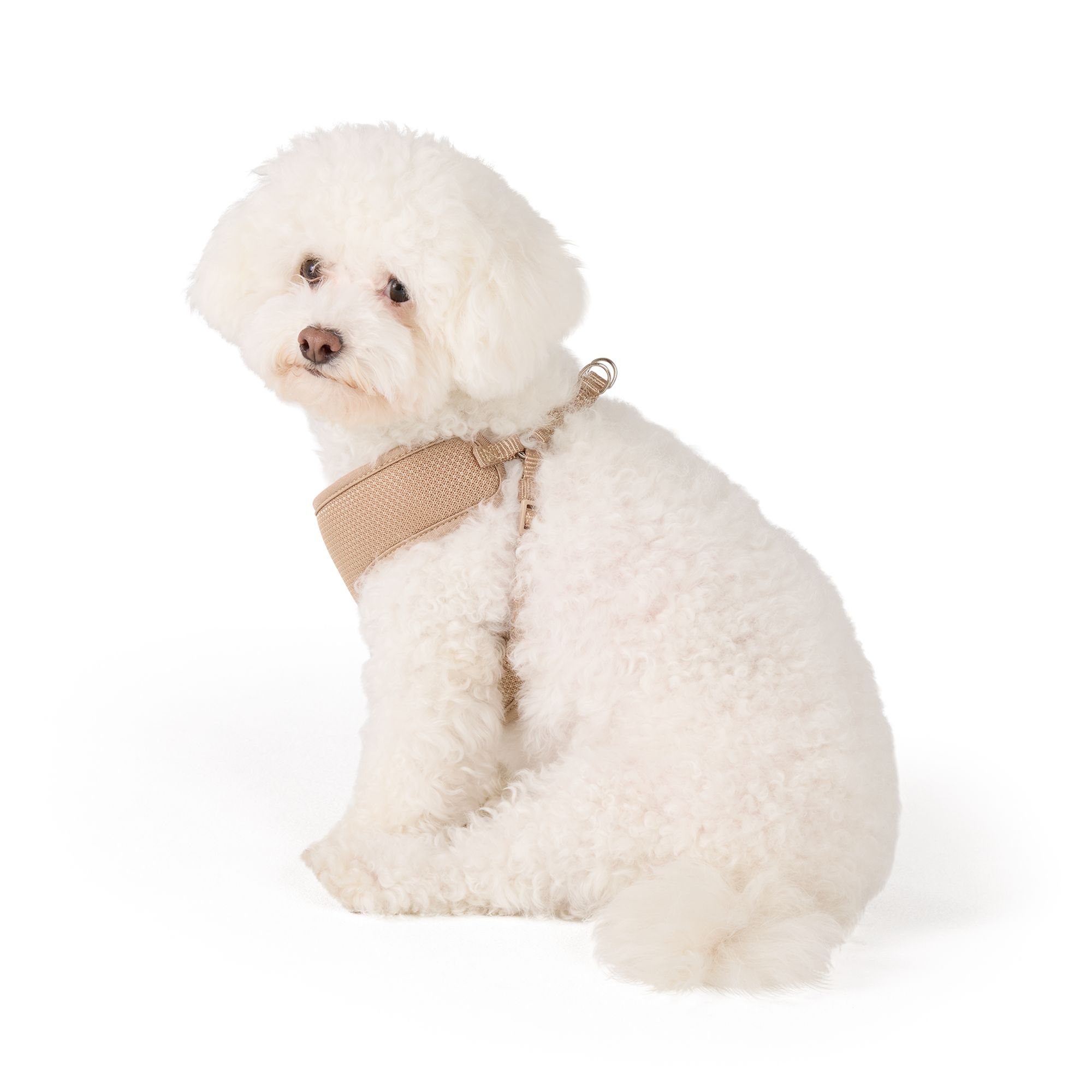 Top Paw Mesh Dog Harness, Adjustable, Neoprene, Mesh, Color and Size Vary in Tan, size: Medium | PetSmart